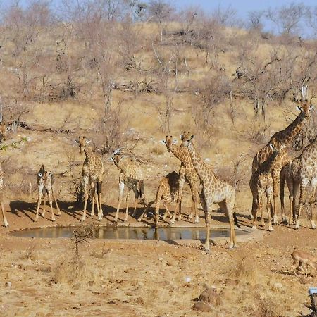 Mbizi Bush Lodge Grietjie Game Reserve Zewnętrze zdjęcie
