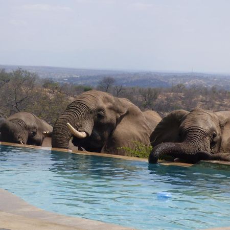 Mbizi Bush Lodge Grietjie Game Reserve Zewnętrze zdjęcie