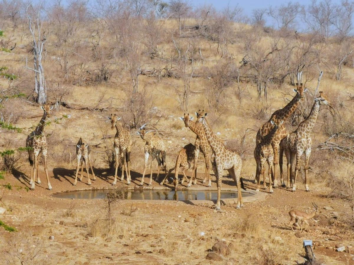 Mbizi Bush Lodge Grietjie Game Reserve Zewnętrze zdjęcie