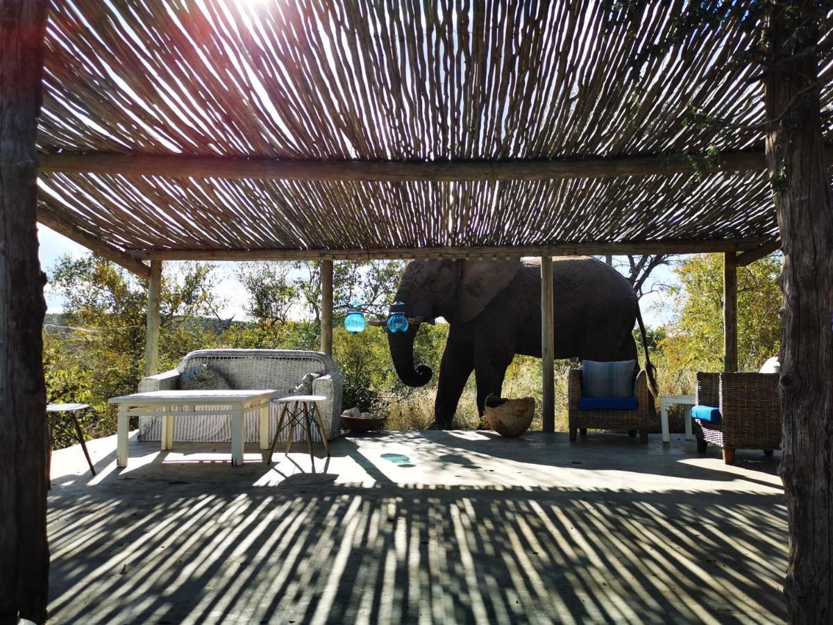 Mbizi Bush Lodge Grietjie Game Reserve Zewnętrze zdjęcie