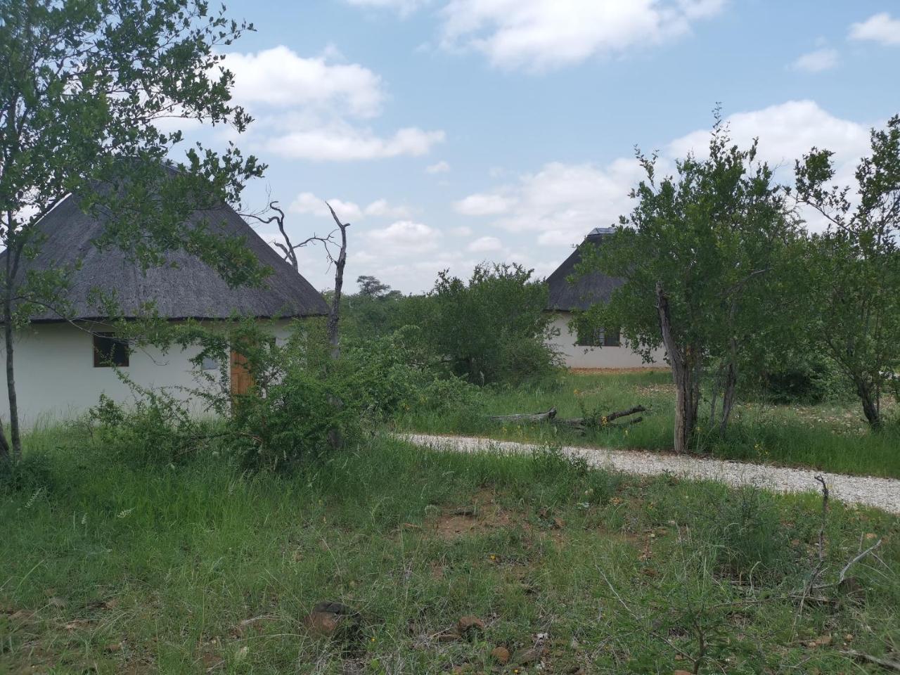 Mbizi Bush Lodge Grietjie Game Reserve Zewnętrze zdjęcie
