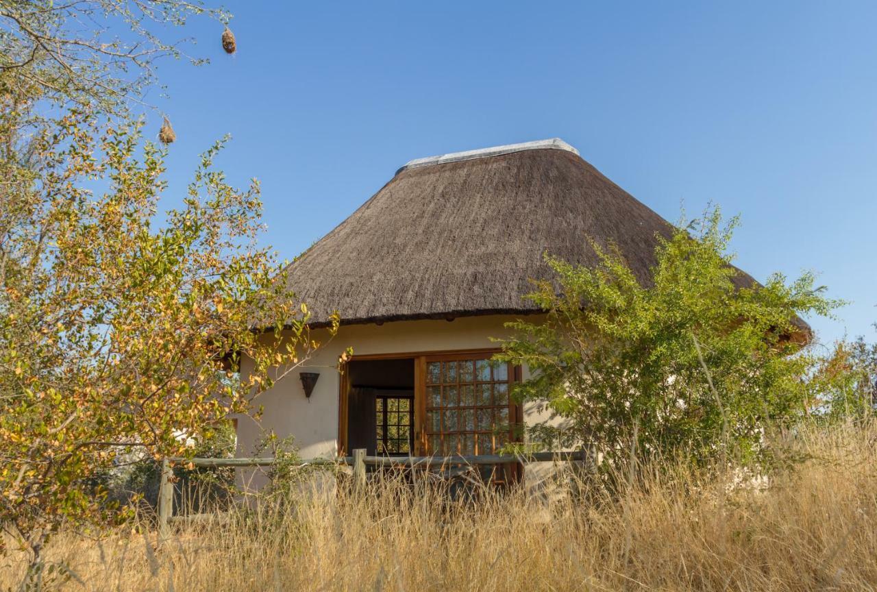 Mbizi Bush Lodge Grietjie Game Reserve Zewnętrze zdjęcie