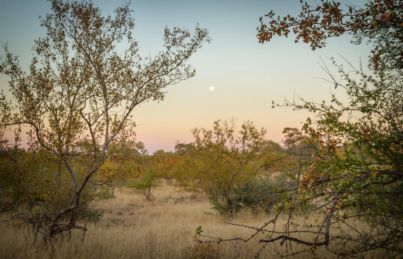 Mbizi Bush Lodge Grietjie Game Reserve Zewnętrze zdjęcie