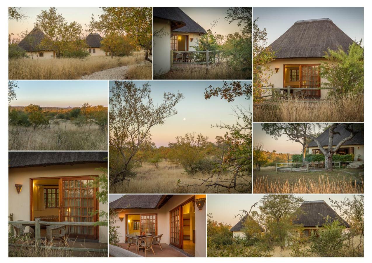 Mbizi Bush Lodge Grietjie Game Reserve Zewnętrze zdjęcie